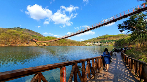 세계일보