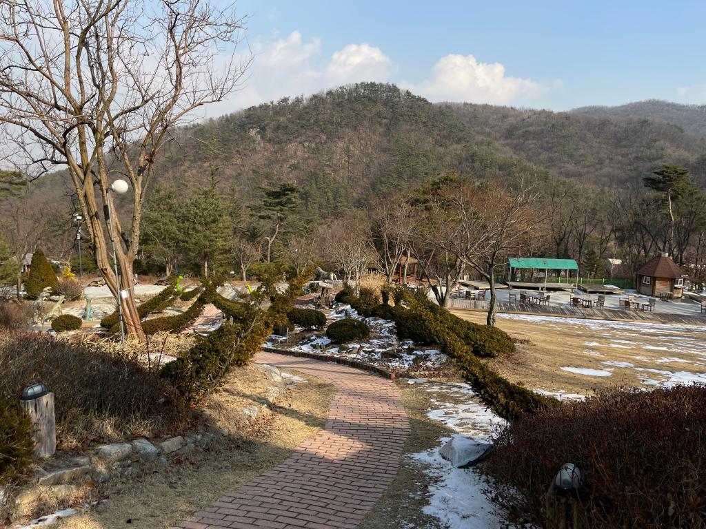 복합 테마파크 덕평 공룡수목원12