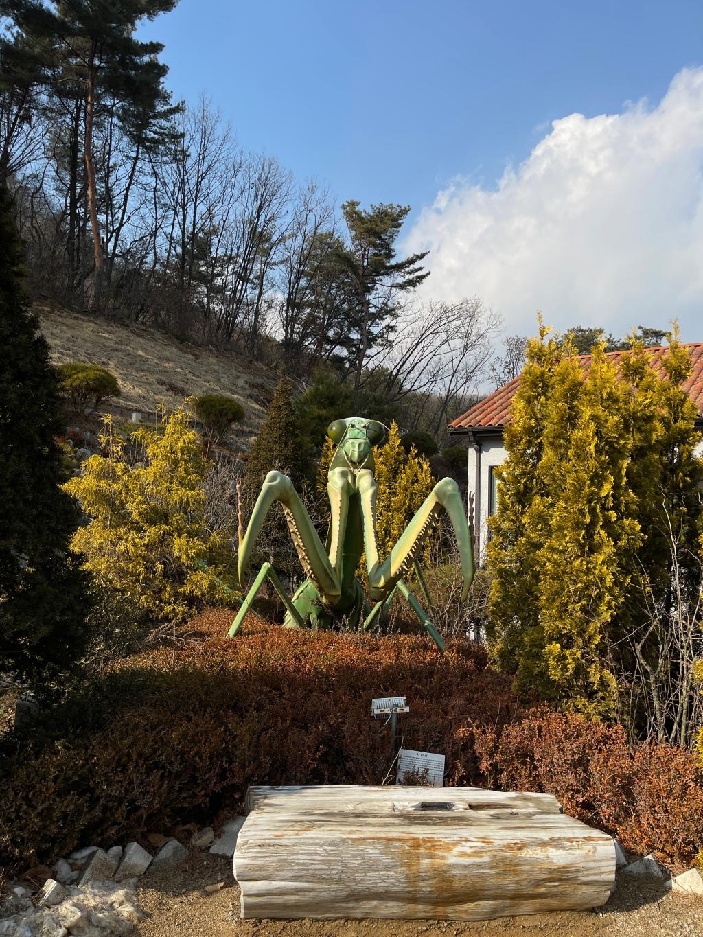 복합 테마파크 덕평 공룡수목원13