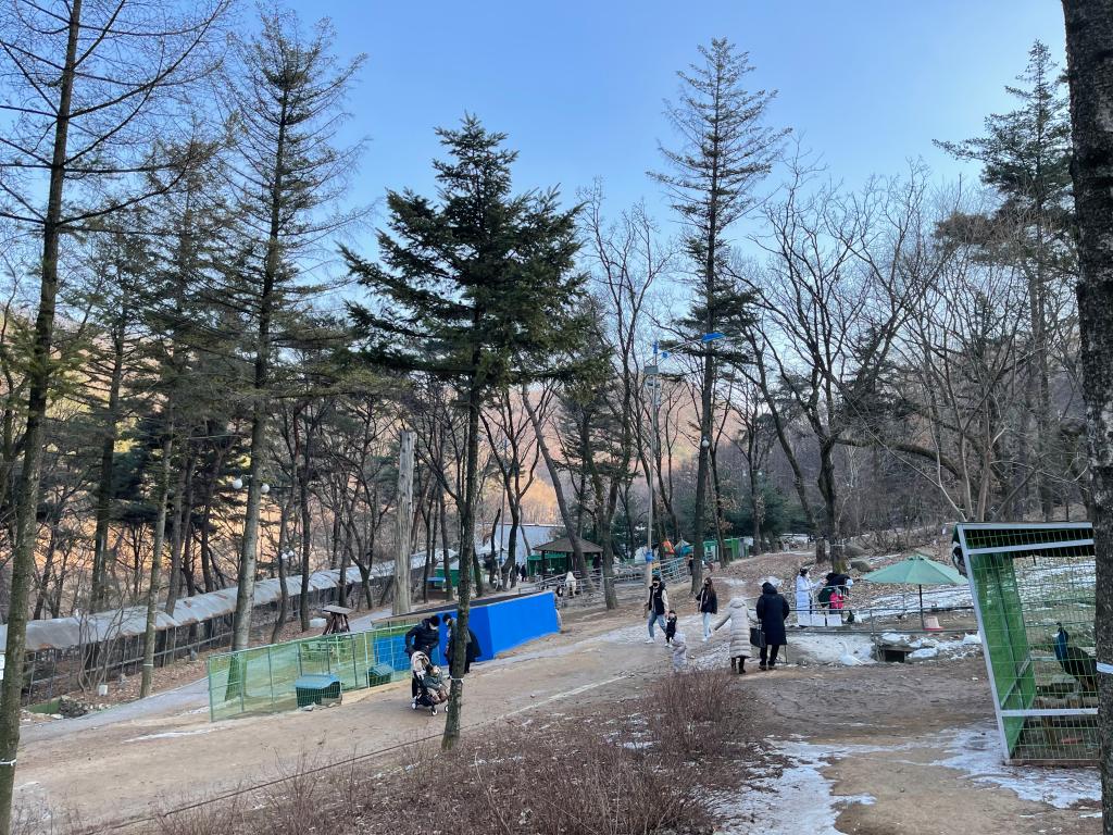 복합 테마파크 덕평 공룡수목원29