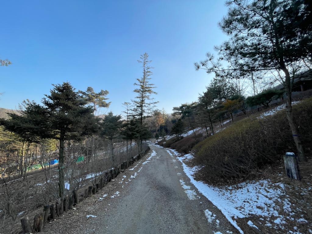 복합 테마파크 덕평 공룡수목원30