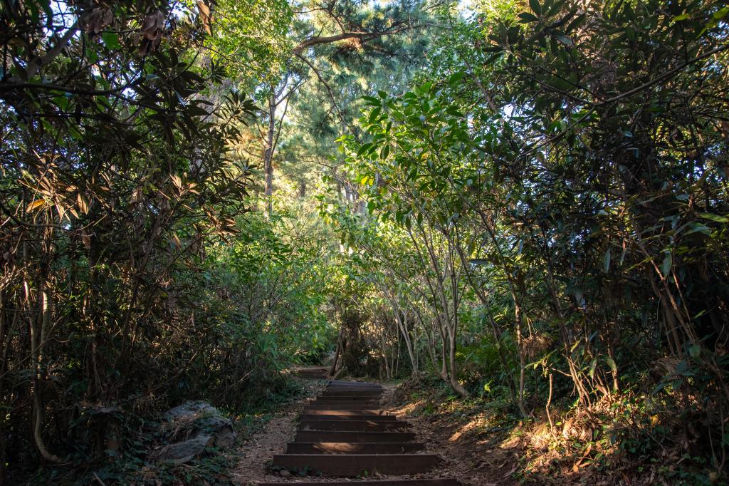 함덕 바다와 한라산을 품다, 서우봉11