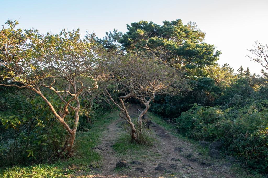 함덕 바다와 한라산을 품다, 서우봉13