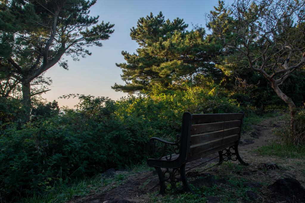 함덕 바다와 한라산을 품다, 서우봉14