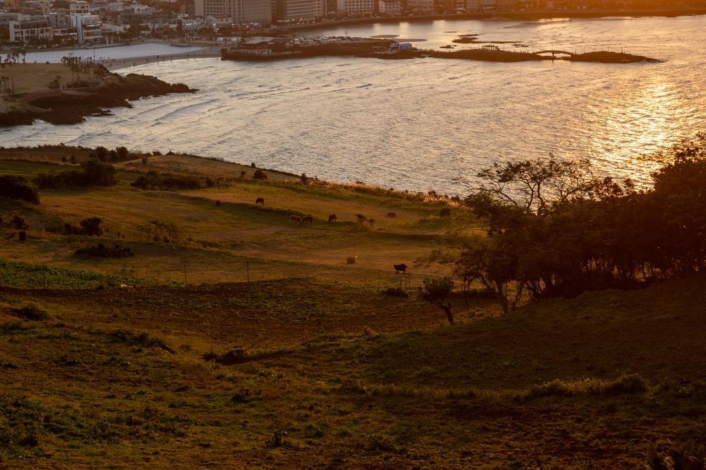 함덕 바다와 한라산을 품다, 서우봉19