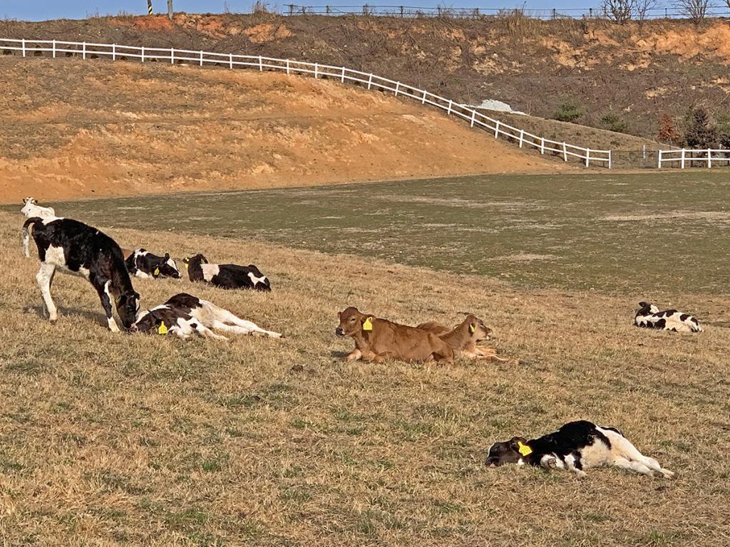보령의 현재 감성을 맛보다17