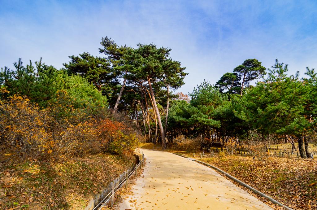 효성 가득한 아름다운 융건릉3