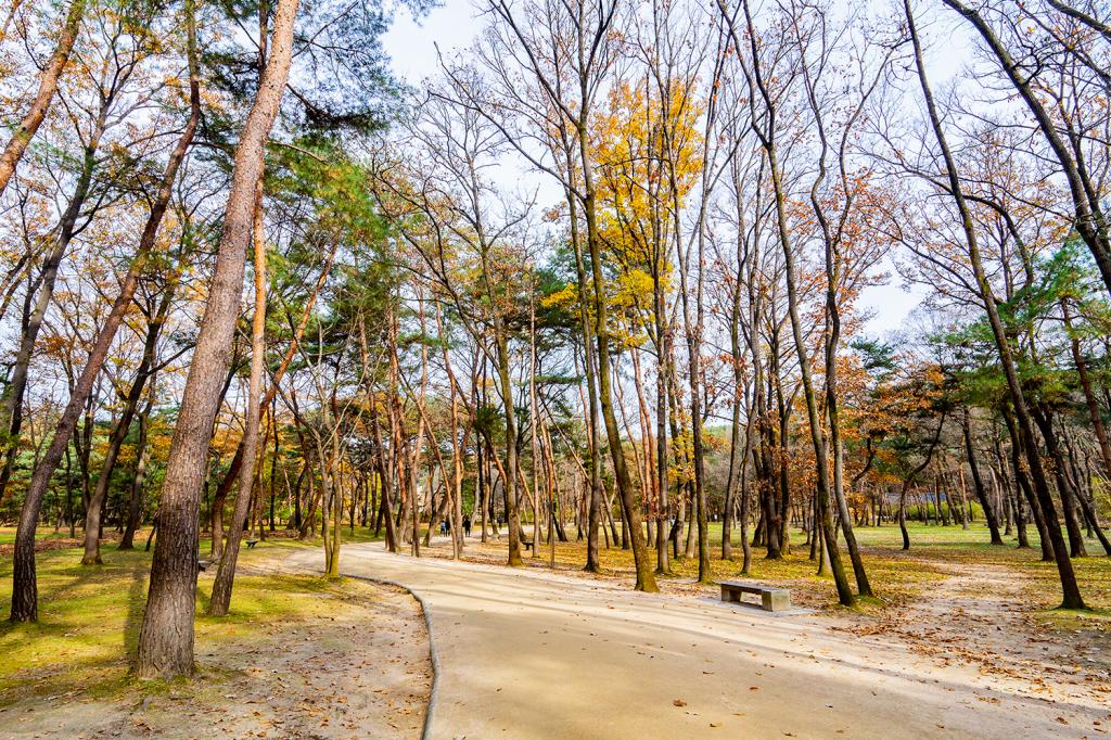 효성 가득한 아름다운 융건릉4
