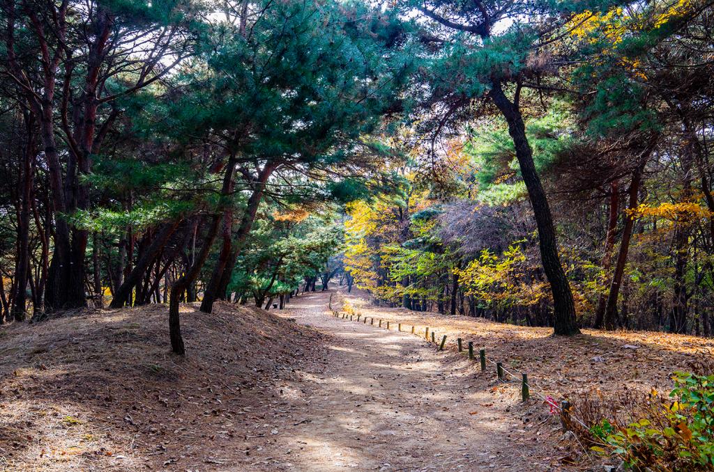 효성 가득한 아름다운 융건릉10