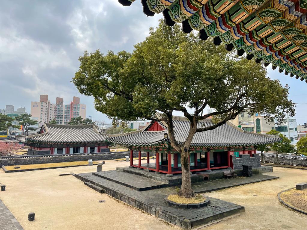 제주에 봄이 온다 : 관덕정 그리고 제주목관아4