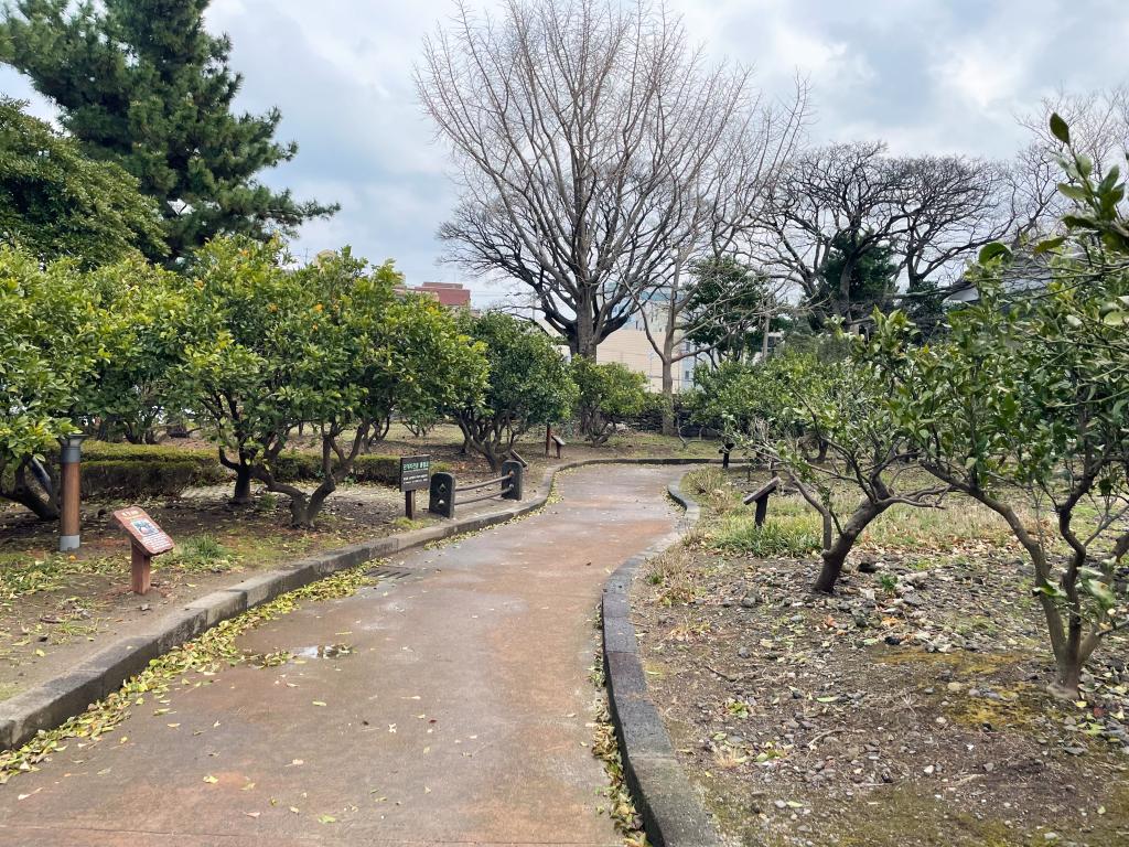 제주에 봄이 온다 : 관덕정 그리고 제주목관아7