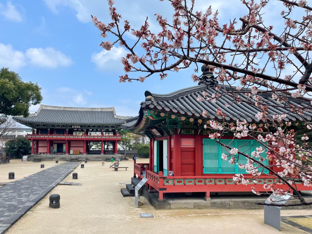 제주에 봄이 온다 : 관덕정 그리고 제주목관아10