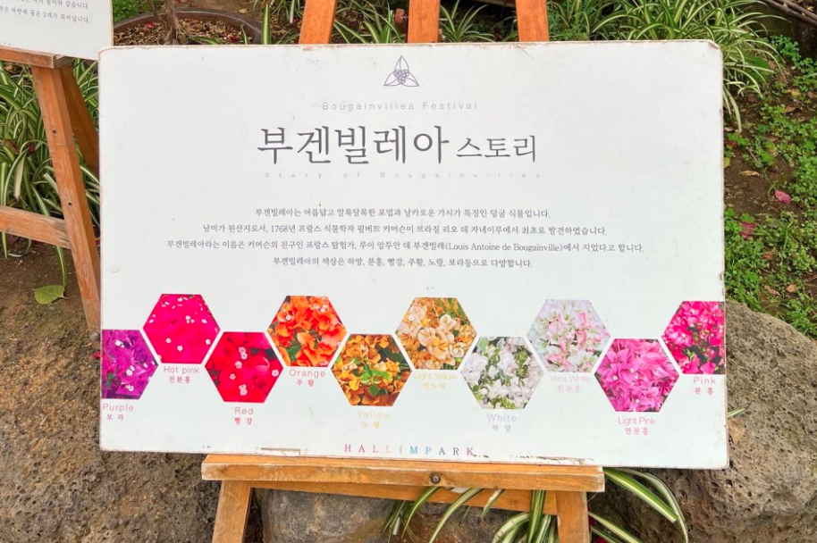 한림공원과 송악산 둘레길12