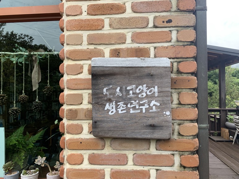 하동 가성비 감성숙소, 도시고양이생존연구소1