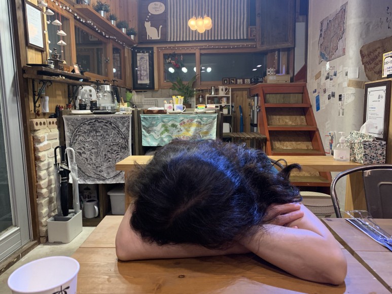 하동 가성비 감성숙소, 도시고양이생존연구소8