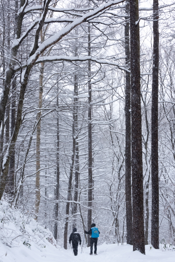 최고의 설경을 만나려면 ... 선자령(仙子嶺)으로~15