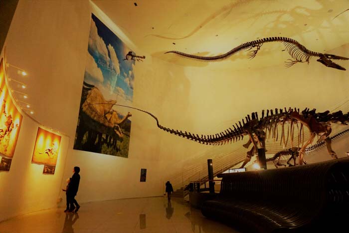 거대한 공룡 화석이 방문객을 맞이한다
