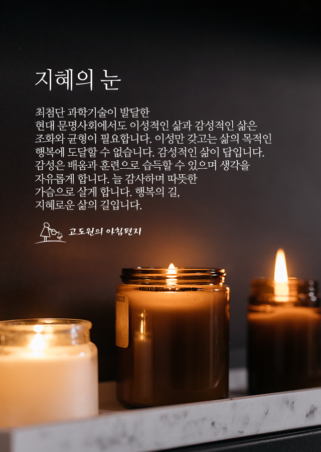 지혜의눈 이미지