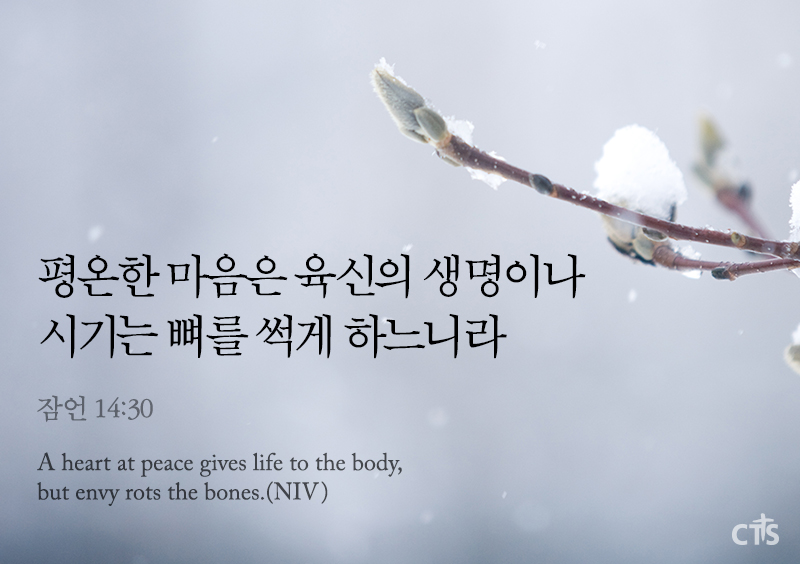 잠언 14장 30절