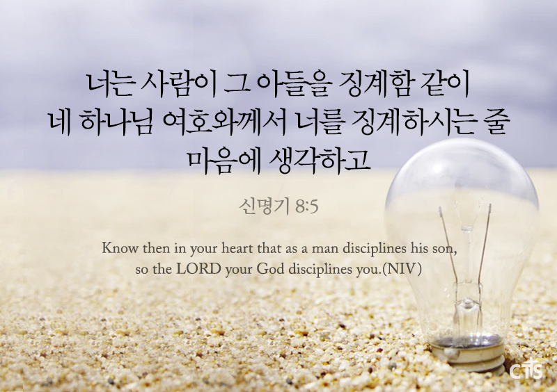 신명기 8:5