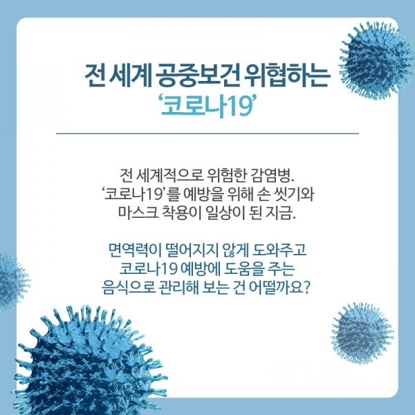 코로나19 이미지 검색결과