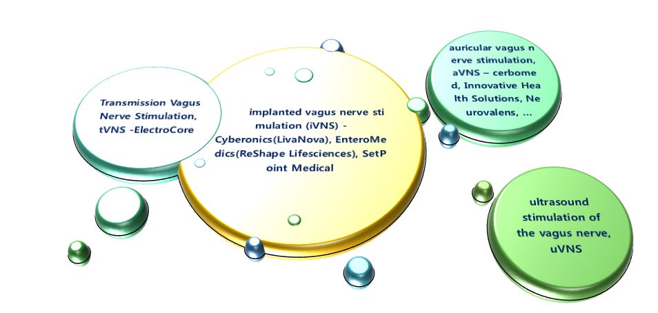 미주신경자극 (vagus nerve stimulation, VNS) 연구 상용화동향