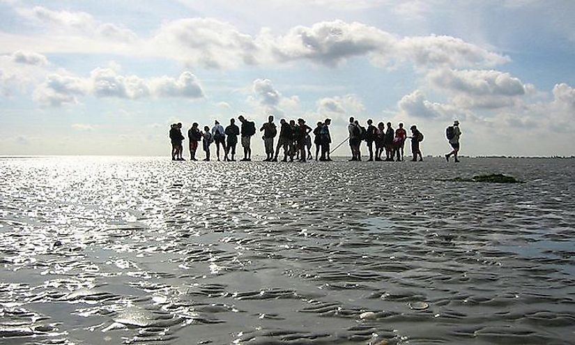 What Is A Mudflat? Why Are Mudflats Important? - WorldAtlas.com