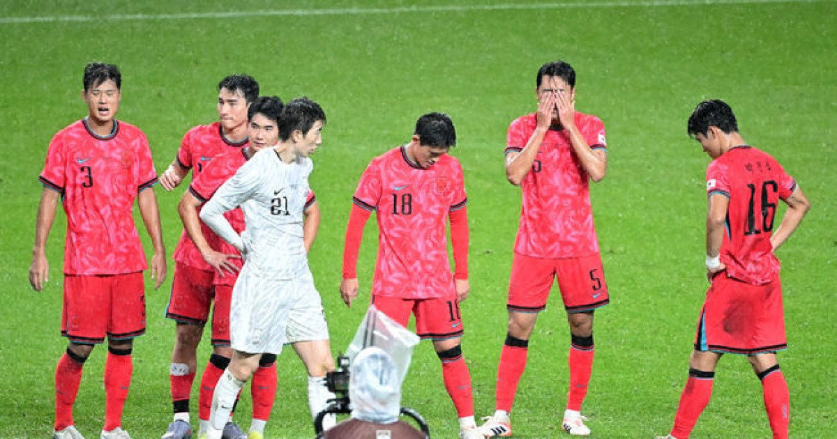 “수중전이 오히려 한국에 독됐다” 호나우두의 브라질 상대로 2-3 잘싸웠던 이천수의 탄식