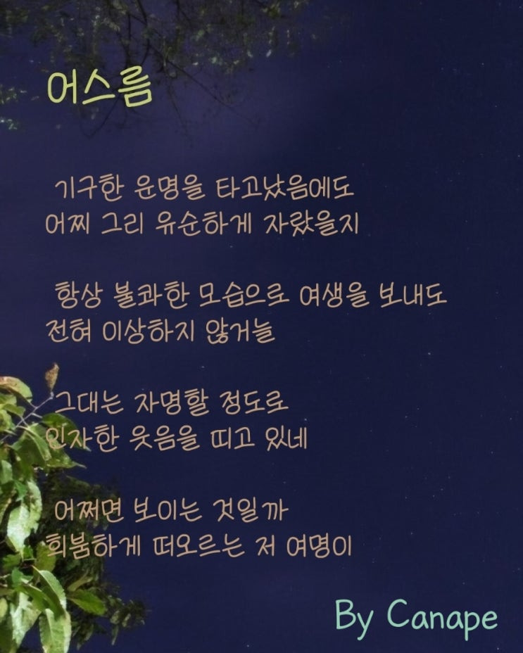 자작시, 《어스름》
