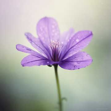 게시글 대표 이미지