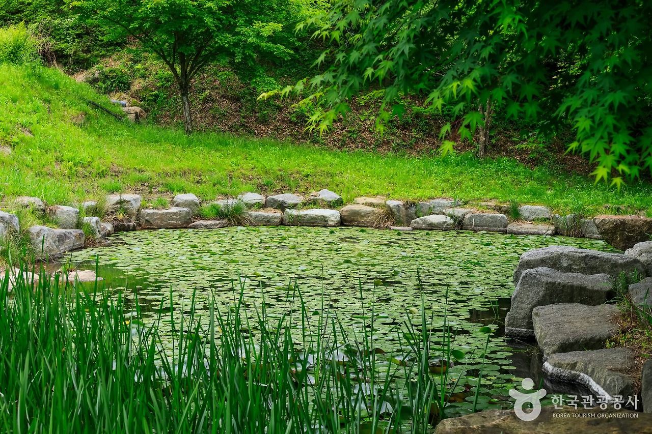 게시글 대표 이미지