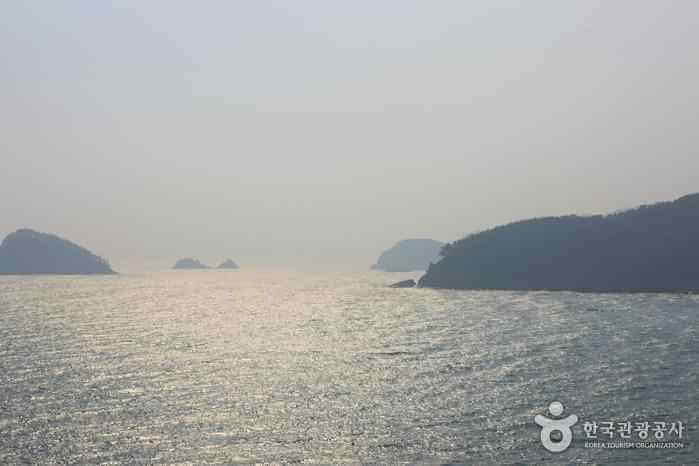 게시글 대표 이미지