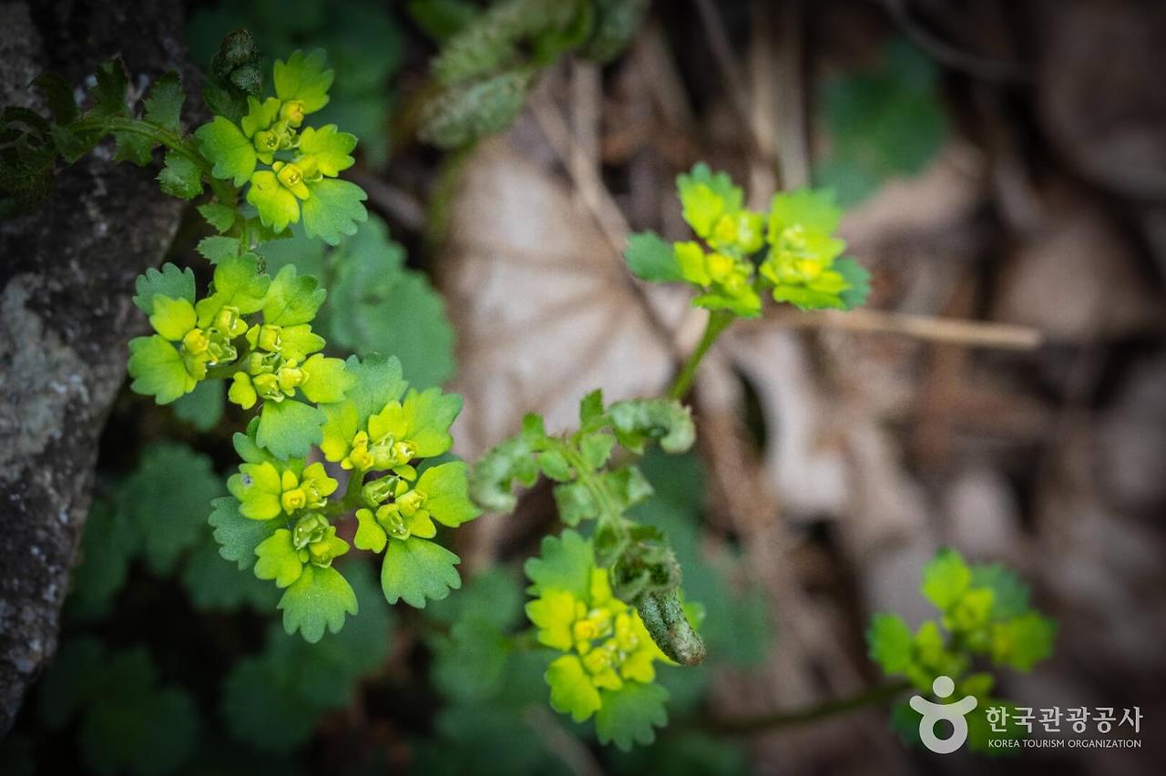 게시글 대표 이미지