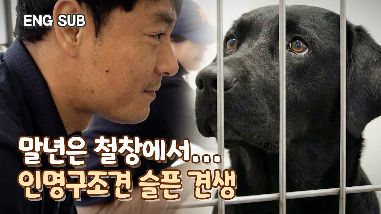 게시글 대표 이미지