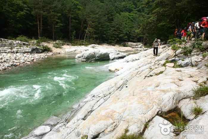 게시글 대표 이미지