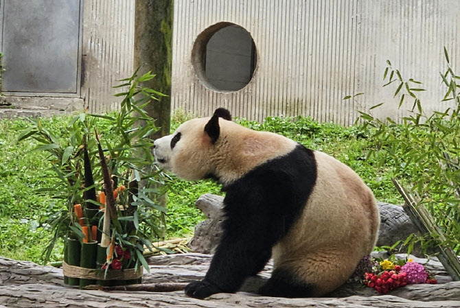 게시글 대표 이미지