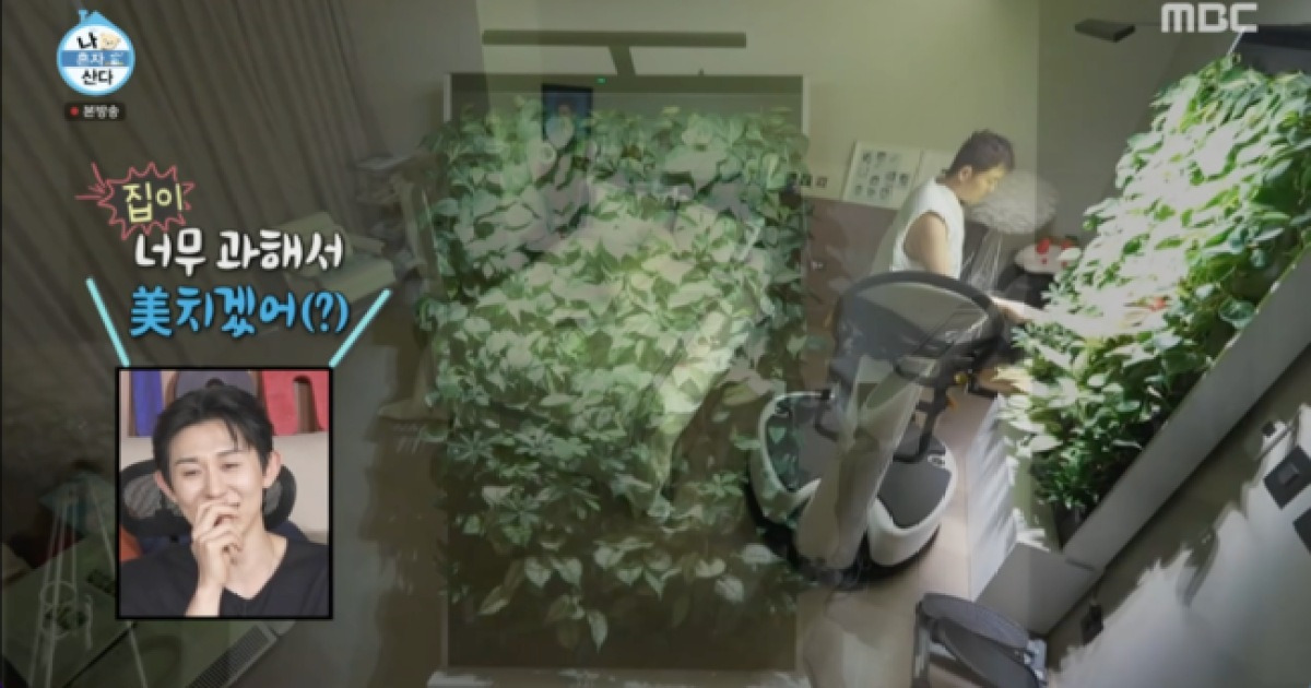 전현무, 집에 '실내 정원'까지 설치했다…기안84 “세트장 아니야?” ('나혼산')