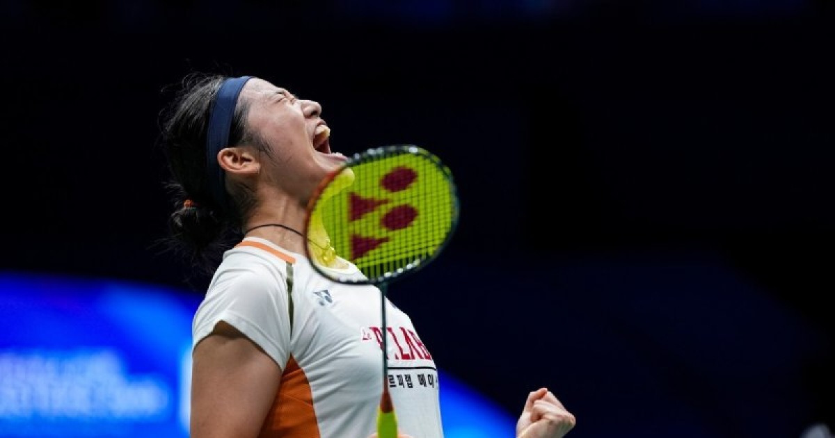 게시글 대표 이미지