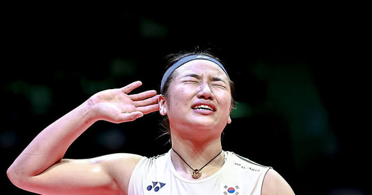 게시글 대표 이미지