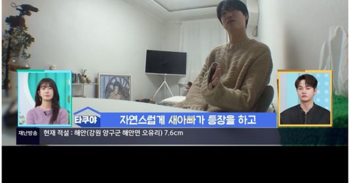 게시글 대표 이미지