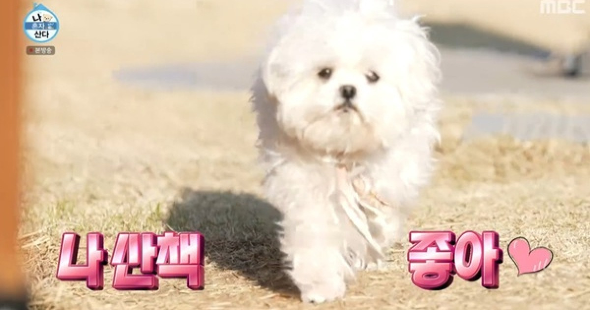 게시글 대표 이미지