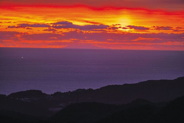 게시글 대표 이미지