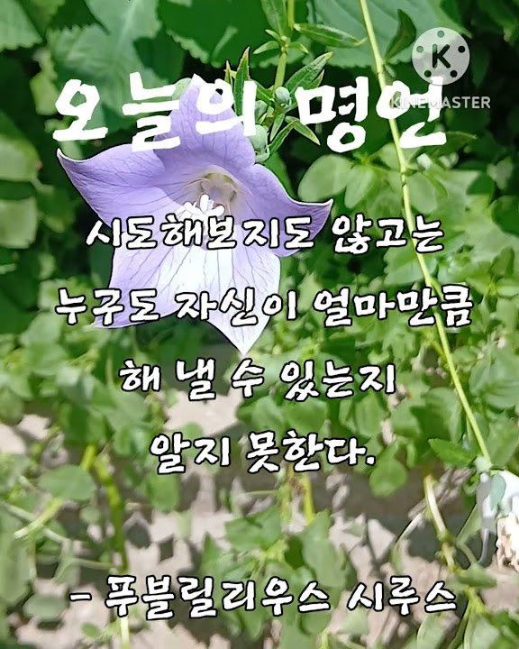 대표이미지