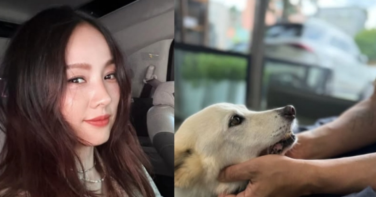 ‘이상순♥’ 이효리, ‘암 말기’ 고백한 반려견 근황 사진..걱정 쏟아지자 바로 해명