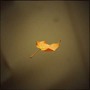 게시글 대표 이미지