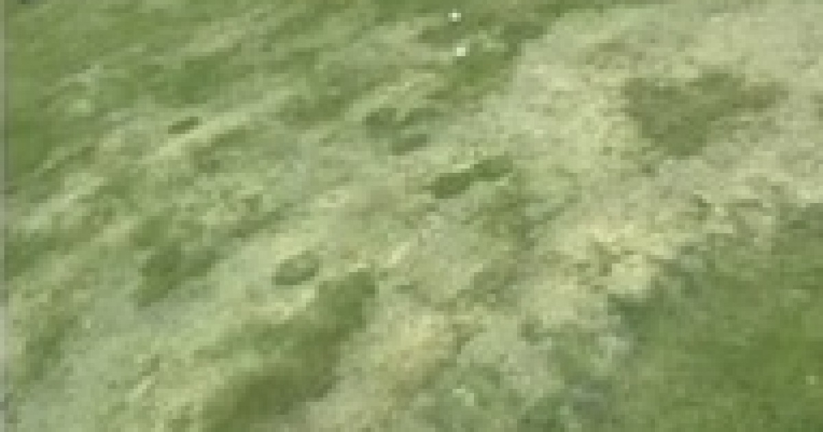 게시글 대표 이미지