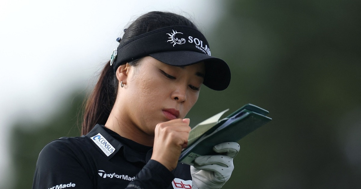 게시글 대표 이미지