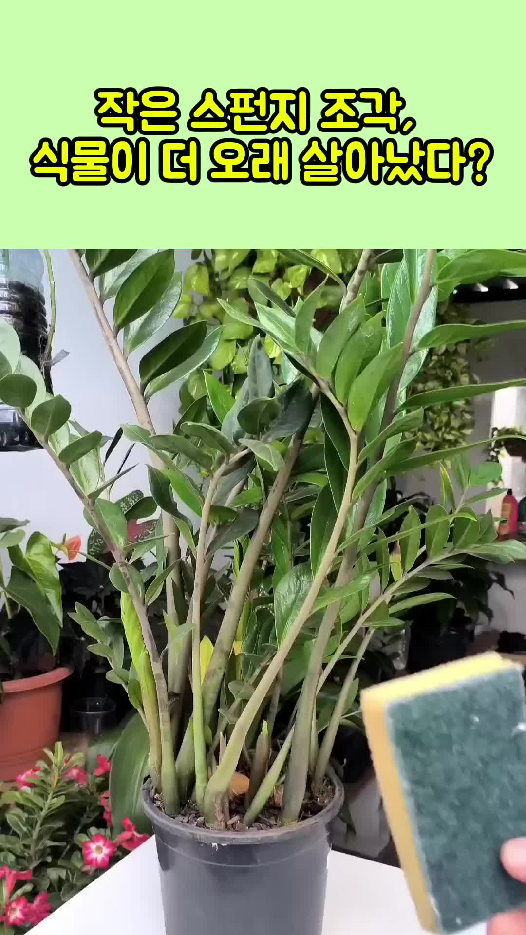 게시글 대표 이미지