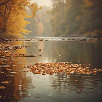 세월이 그만 이별 하라 하네