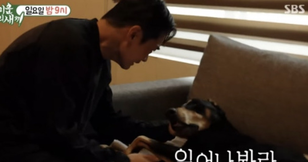 "일어나봐"..배정남, 숨 멎은 반려견 벨 끌어안고 '오열' ('미우새') [Oh!쎈 예고]